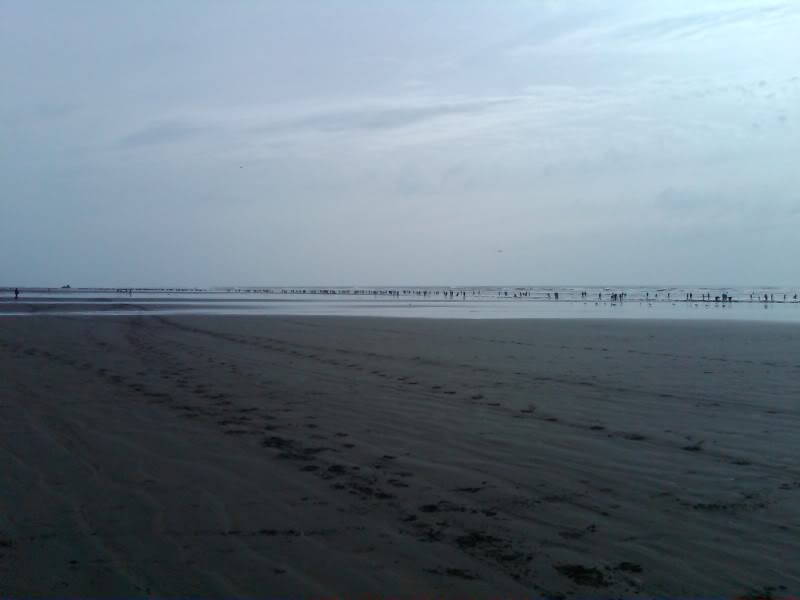 Name:  IMG00832-20100327-1610.jpg
Views: 61
Size:  26.1 KB
