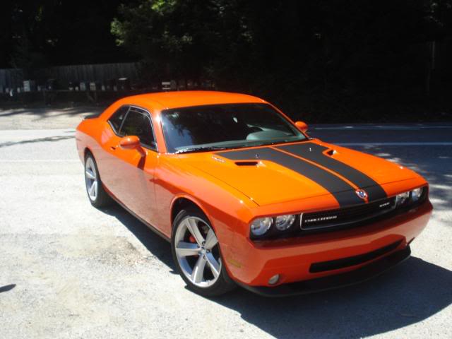 Name:  DSC01453.jpg
Views: 24
Size:  37.1 KB