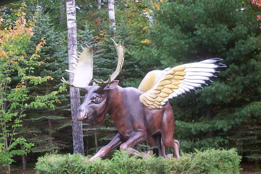 Name:  DCP_1906_0001.jpg
Views: 17
Size:  187.2 KB