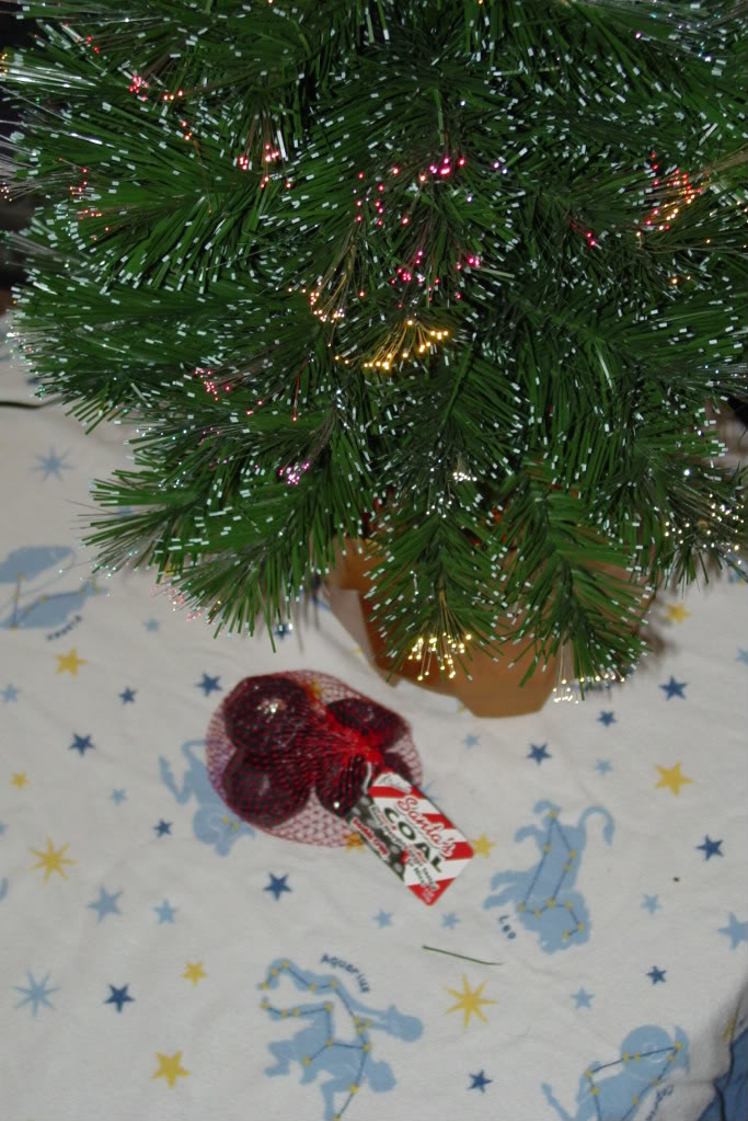 Name:  25Dec09007.jpg
Views: 19
Size:  154.9 KB