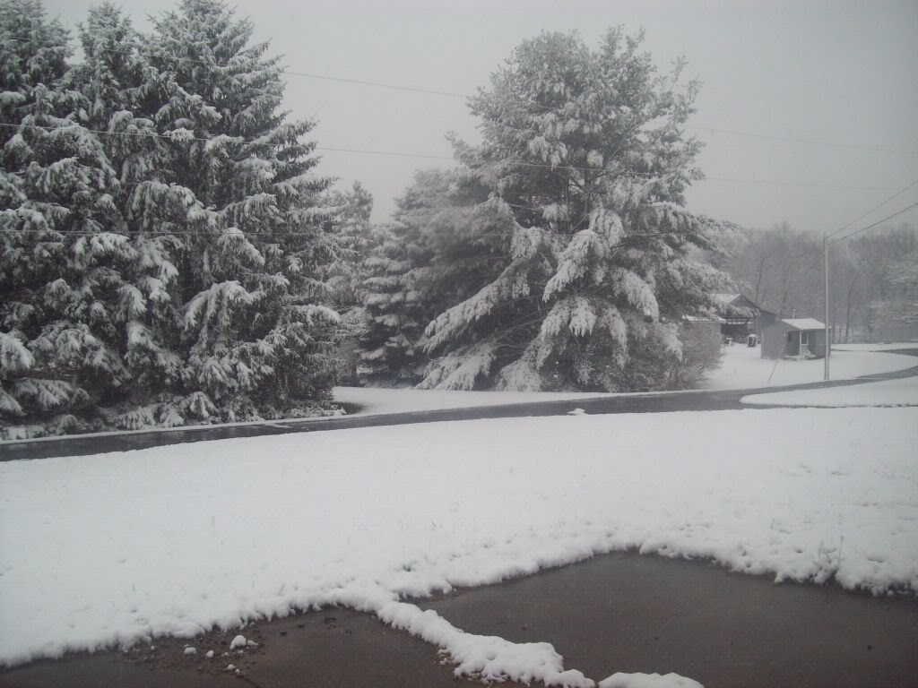 Name:  000_0017.jpg
Views: 26
Size:  120.1 KB