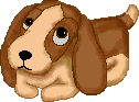 Name:  brown_puppy.gif
Views: 20
Size:  7.7 KB