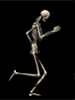 Name:  Skeleton-20-june.gif
Views: 16
Size:  37.5 KB