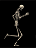Name:  Skeleton-20-june.gif
Views: 27
Size:  37.5 KB