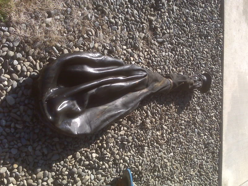 Name:  IMG01818.jpg
Views: 21
Size:  182.9 KB