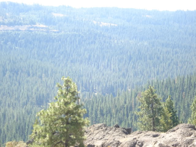 Name:  vacation09013.jpg
Views: 9
Size:  74.2 KB