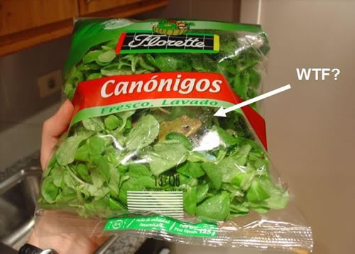 Name:  wtf-is-in-my-salad.jpg
Views: 21
Size:  35.1 KB