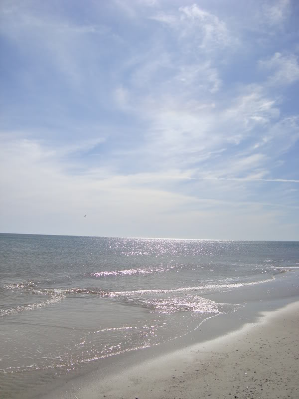 Name:  DSC00299.jpg
Views: 21
Size:  57.4 KB