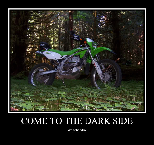 Name:  100_6417-1.jpg
Views: 22
Size:  90.2 KB