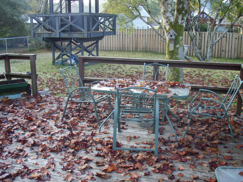 Name:  PA258331.jpg
Views: 13
Size:  128.4 KB