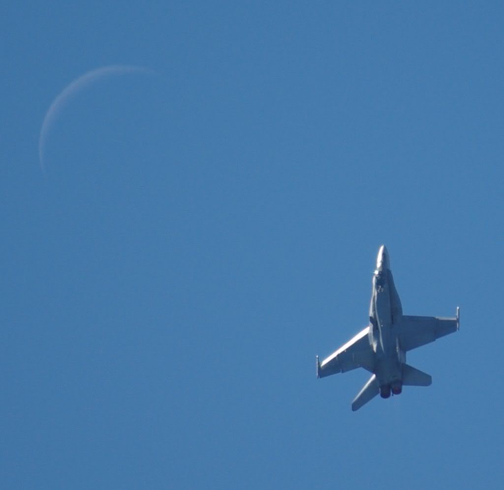 Name:  MooningFA18.jpg
Views: 14
Size:  79.1 KB