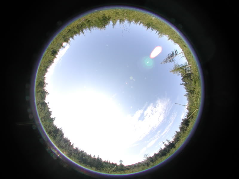 Name:  DSCN0899.jpg
Views: 14
Size:  57.9 KB