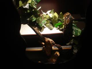 Name:  DSC01424.jpg
Views: 19
Size:  11.3 KB