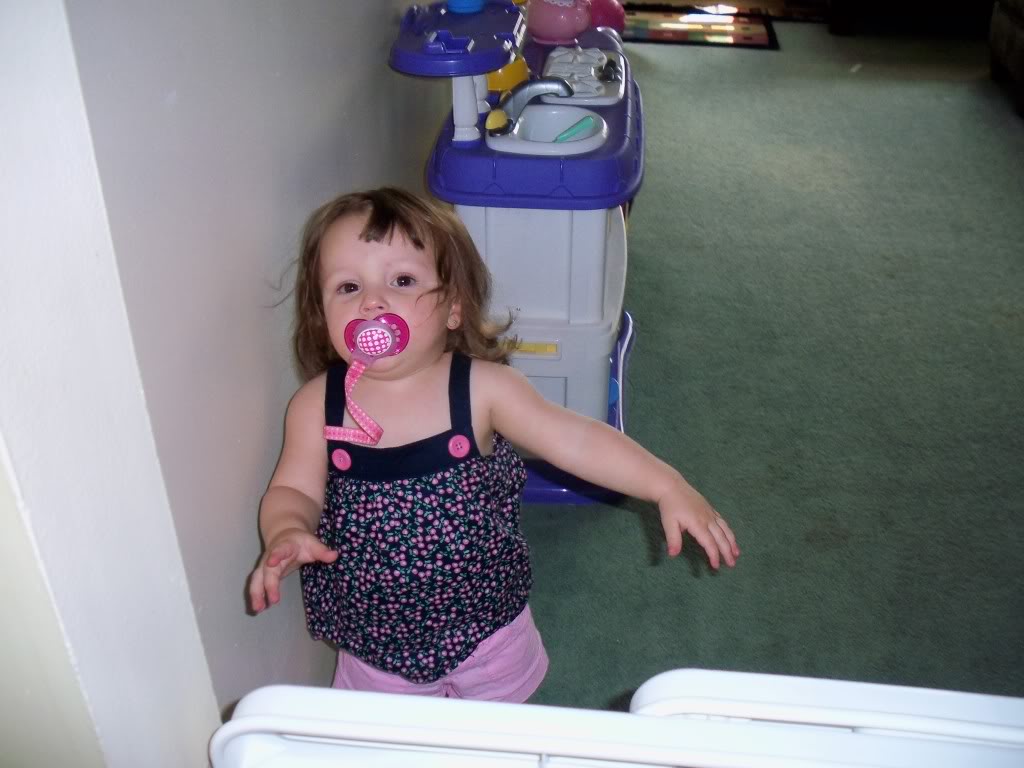 Name:  100_0002.jpg
Views: 69
Size:  127.4 KB
