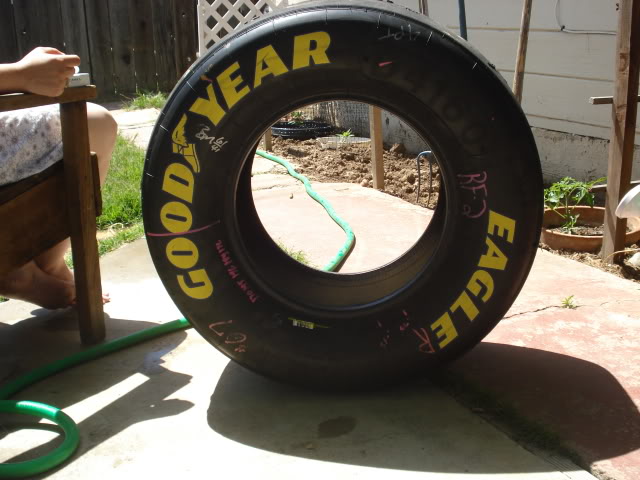 Name:  DSC01290.jpg
Views: 13
Size:  75.1 KB