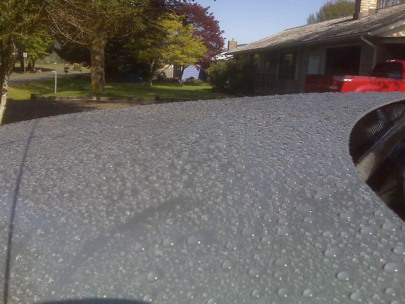 Name: IMG00481.jpg
Views: 18
Size: 105.5 KB
