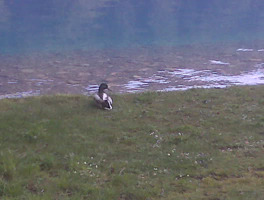 Name: IMG00484.jpg
Views: 17
Size: 38.3 KB
