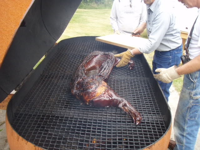 Name:  P8112283.jpg
Views: 19
Size:  83.0 KB