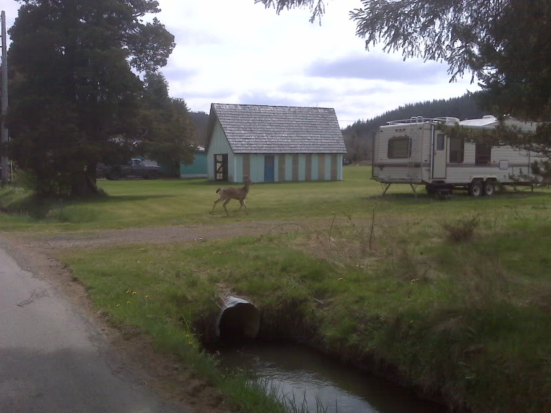 Name:  IMG00391.jpg
Views: 19
Size:  82.3 KB