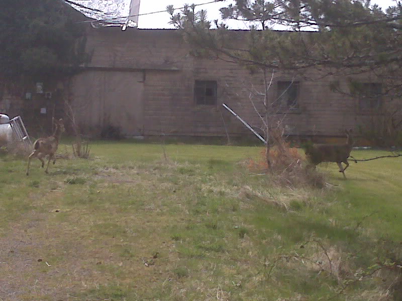 Name:  IMG00392.jpg
Views: 19
Size:  87.3 KB