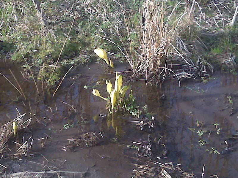 Name: IMG00348.jpg
Views: 21
Size: 169.5 KB