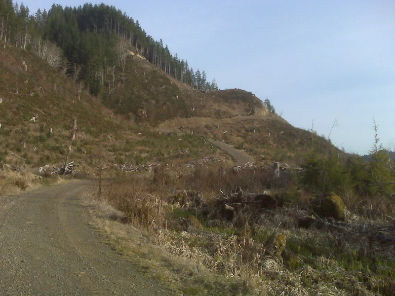 Name: IMG00350.jpg
Views: 21
Size: 105.1 KB