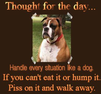 Name:  big1936310.png
Views: 16
Size:  90.8 KB