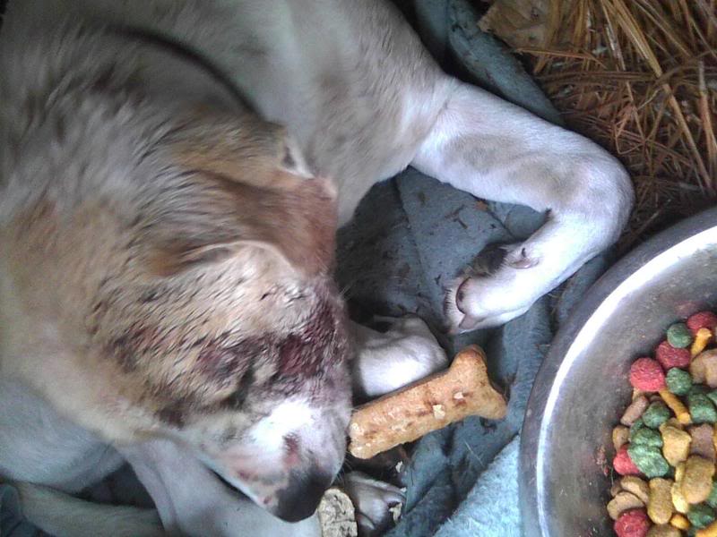 Name:  jake.jpg
Views: 27
Size:  70.0 KB