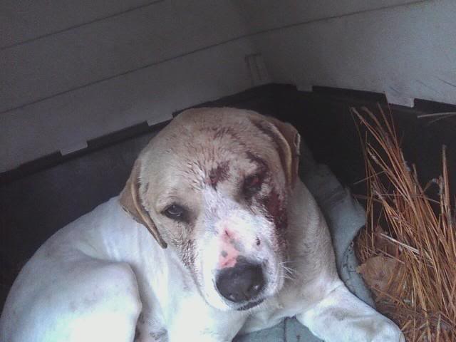 Name:  jake1.jpg
Views: 28
Size:  32.2 KB