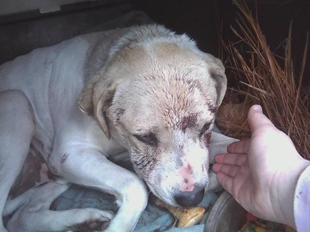 Name:  jake2.jpg
Views: 28
Size:  40.1 KB