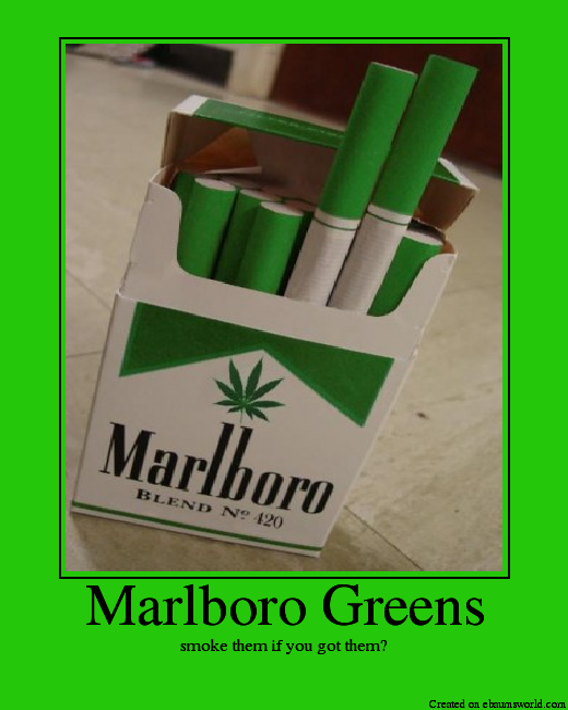 Name:  MarlboroGreens.png
Views: 10
Size:  198.8 KB