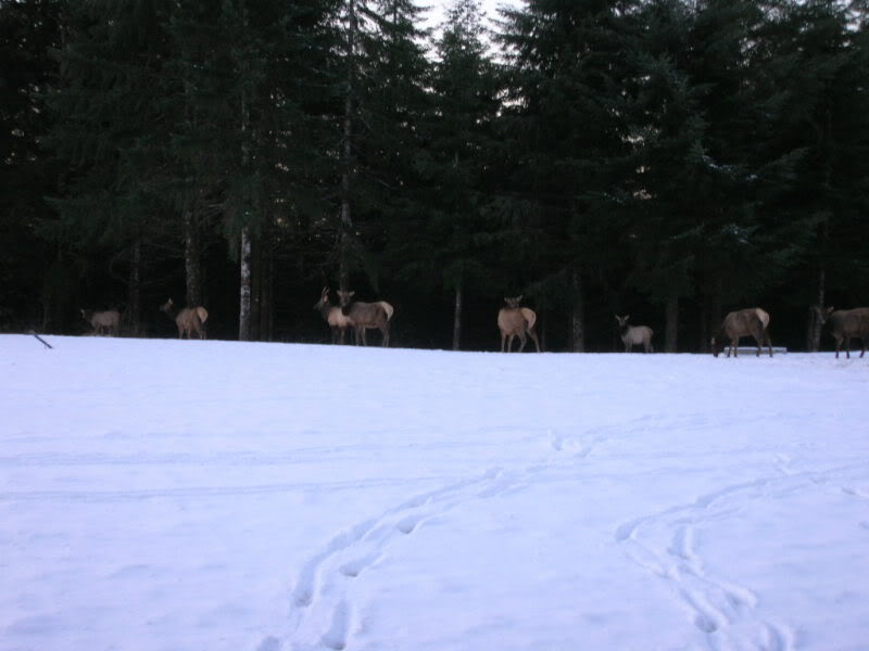 Name:  DSCN0799.jpg
Views: 14
Size:  45.4 KB