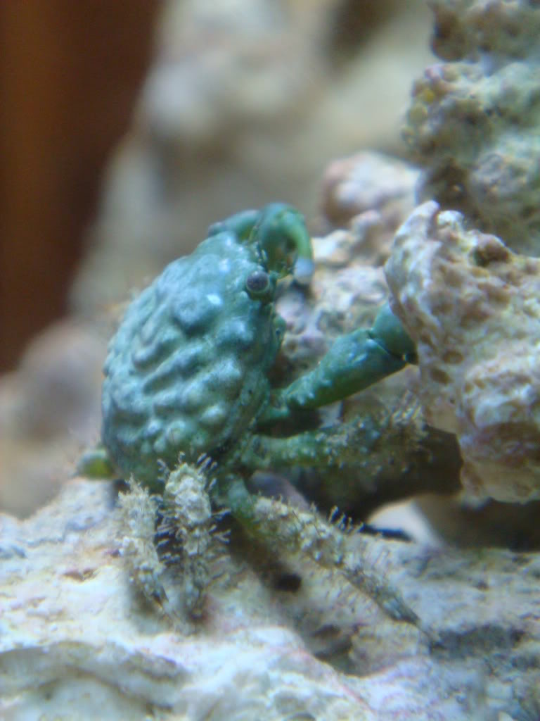 Name:  DSC04824.jpg
Views: 16
Size:  87.2 KB