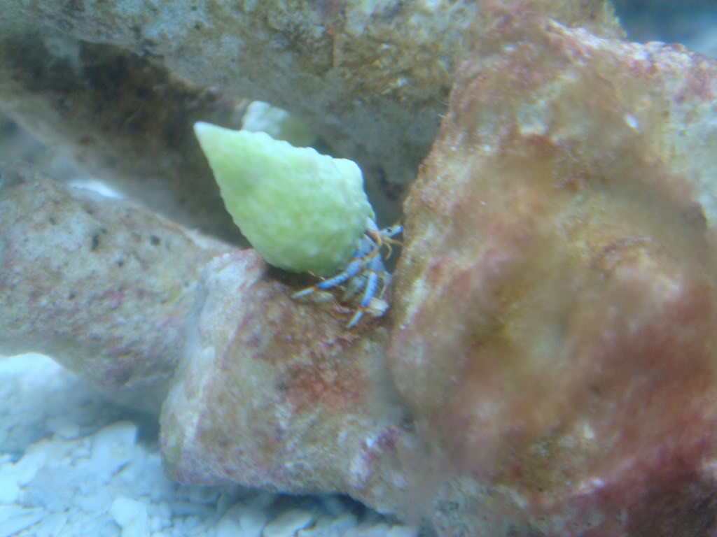 Name:  DSC04894.jpg
Views: 17
Size:  76.5 KB