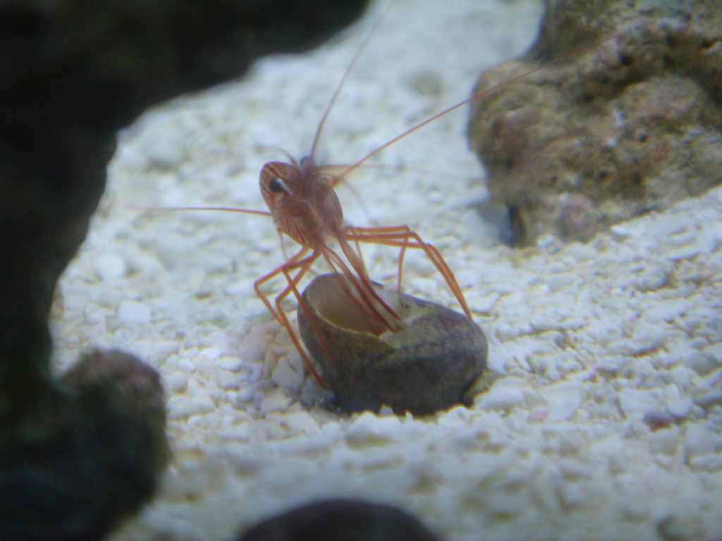 Name:  DSC04891.jpg
Views: 15
Size:  75.2 KB