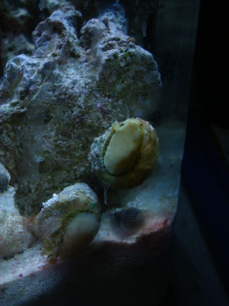 Name:  DSC04895.jpg
Views: 17
Size:  91.4 KB