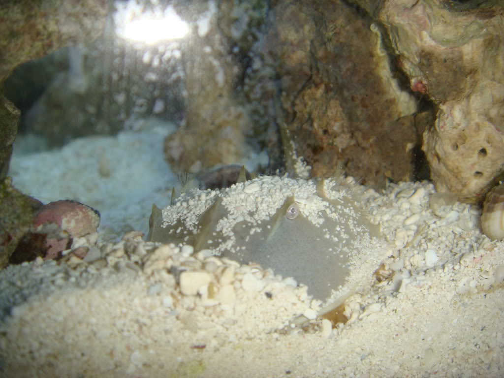 Name:  DSC04876.jpg
Views: 17
Size:  109.3 KB