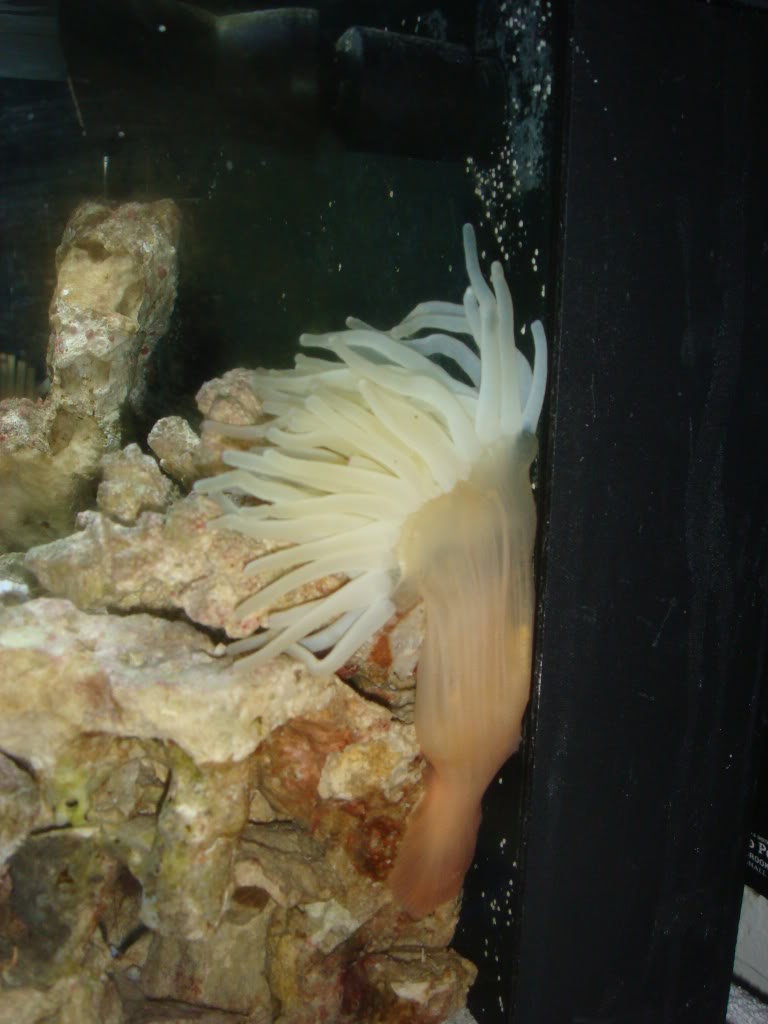 Name:  DSC04888.jpg
Views: 15
Size:  85.9 KB