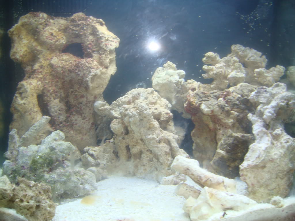 Name:  DSC04736.jpg
Views: 16
Size:  115.9 KB