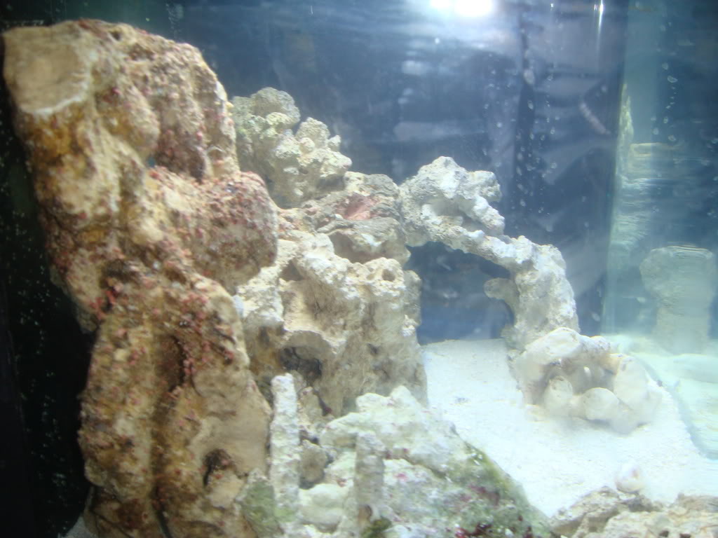 Name:  DSC04739.jpg
Views: 17
Size:  107.0 KB