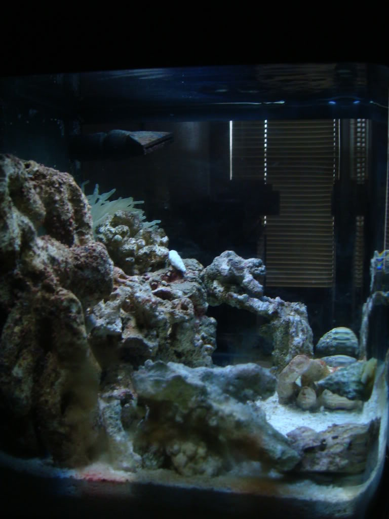 Name:  DSC04897.jpg
Views: 20
Size:  93.2 KB