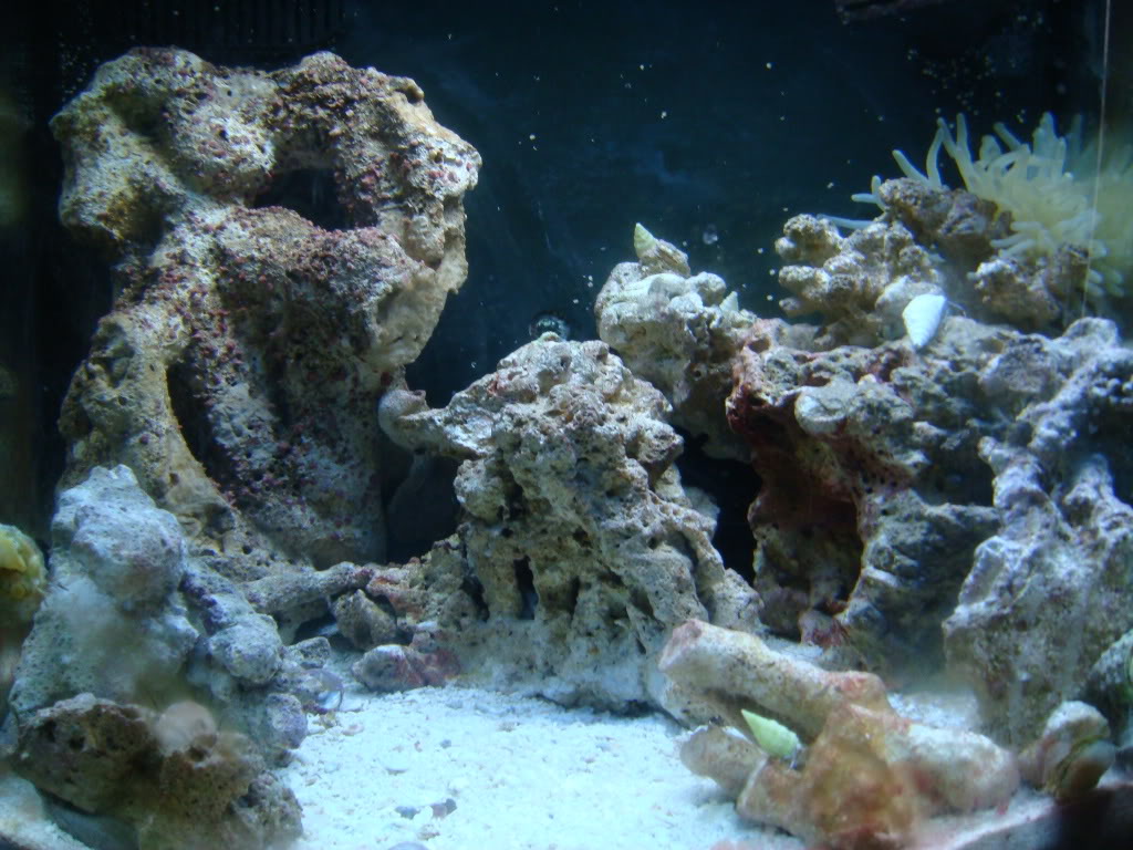 Name:  DSC04903.jpg
Views: 16
Size:  154.2 KB