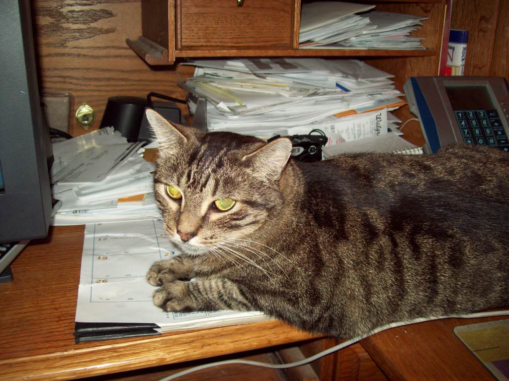 Name:  100_0787.jpg
Views: 17
Size:  134.9 KB