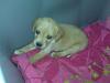 My new B1@tch!!!-img00117.jpg