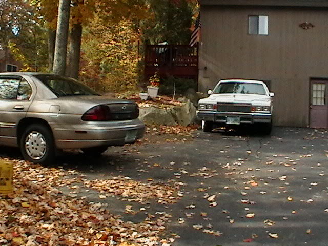 Name:  IMGA0481.jpg
Views: 18
Size:  79.2 KB