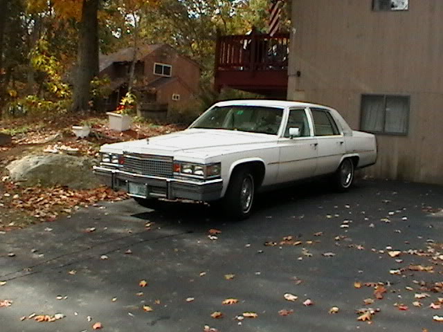 Name:  IMGA0483.jpg
Views: 17
Size:  66.2 KB