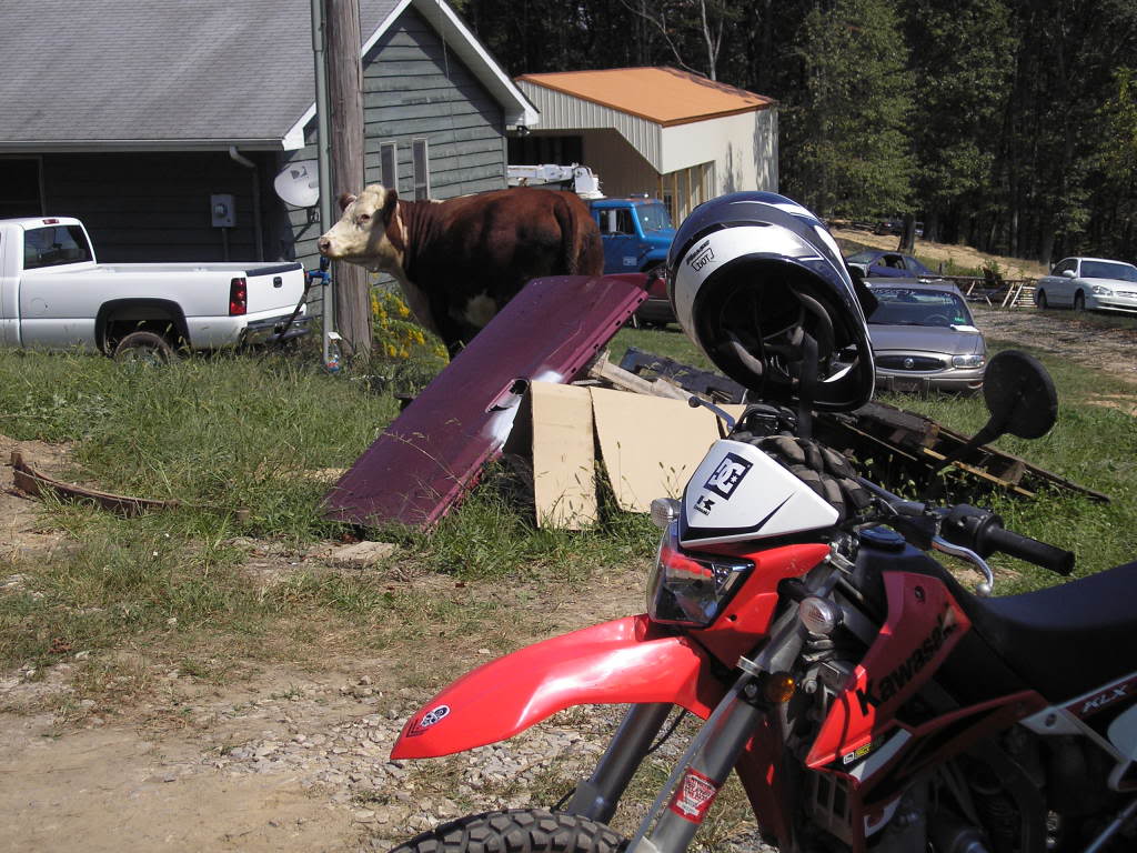 Name:  Jrock059.jpg
Views: 18
Size:  148.0 KB