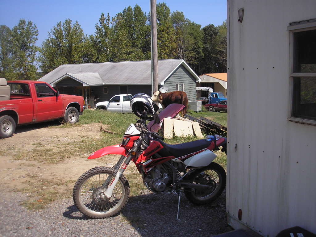 Name:  Jrock058.jpg
Views: 17
Size:  109.5 KB