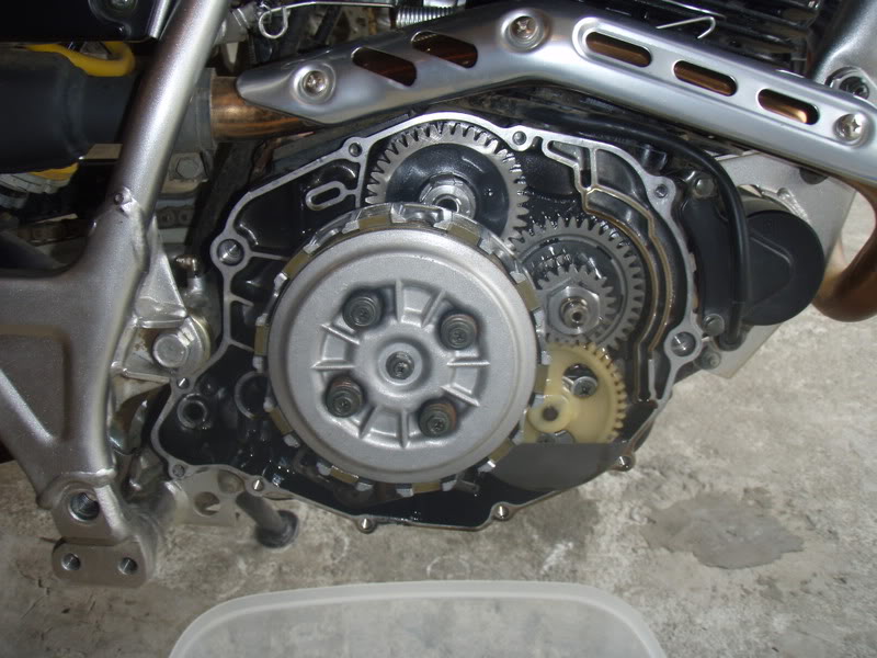 Name:  P9058037.jpg
Views: 22
Size:  93.4 KB