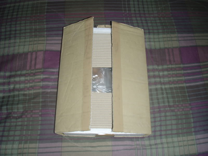 Name:  P9038030.jpg
Views: 25
Size:  62.7 KB